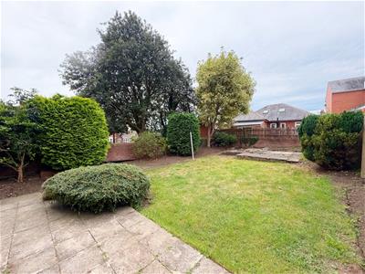 Picture 20